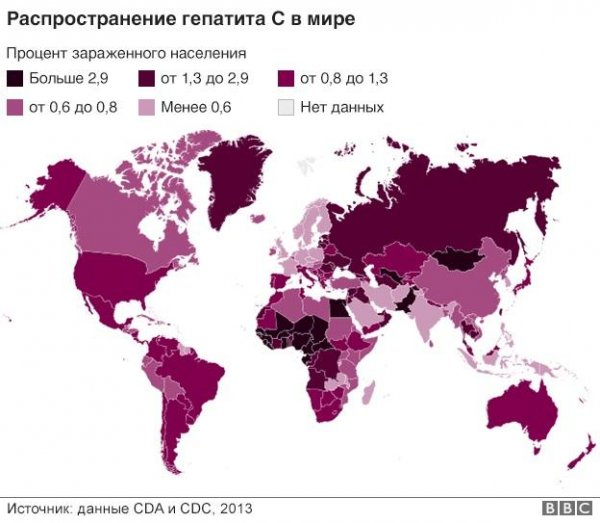 Сколько Процентов Девственниц